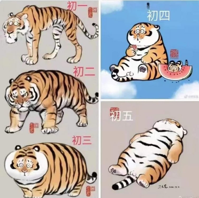 Year of Tiger.JPG