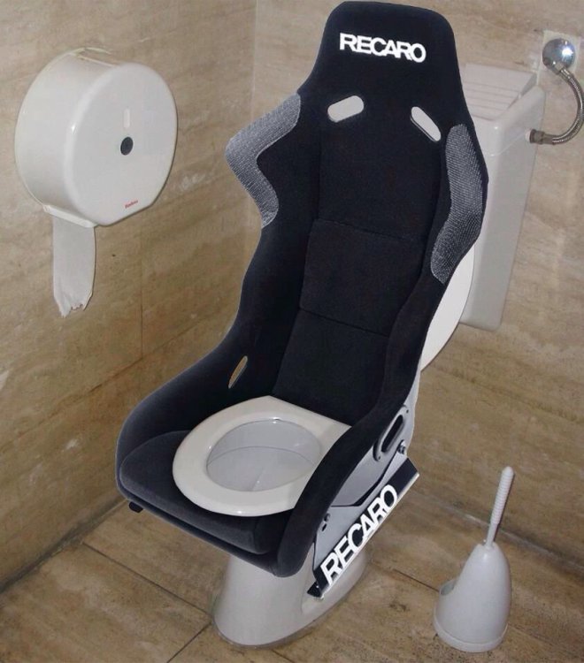 toilet bowl car seat.jpg