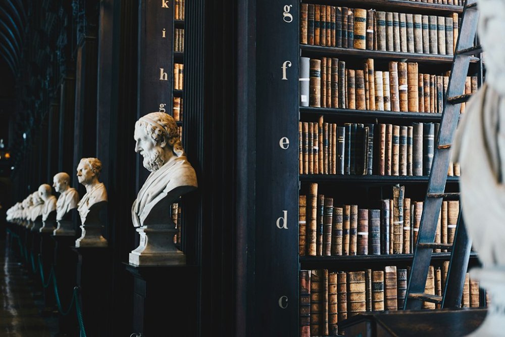 giammarco-boscaro-zeH-ljawHtg-unsplash1024.thumb.jpg.165f9073553500a9ec6dc4f6b2664916.jpg