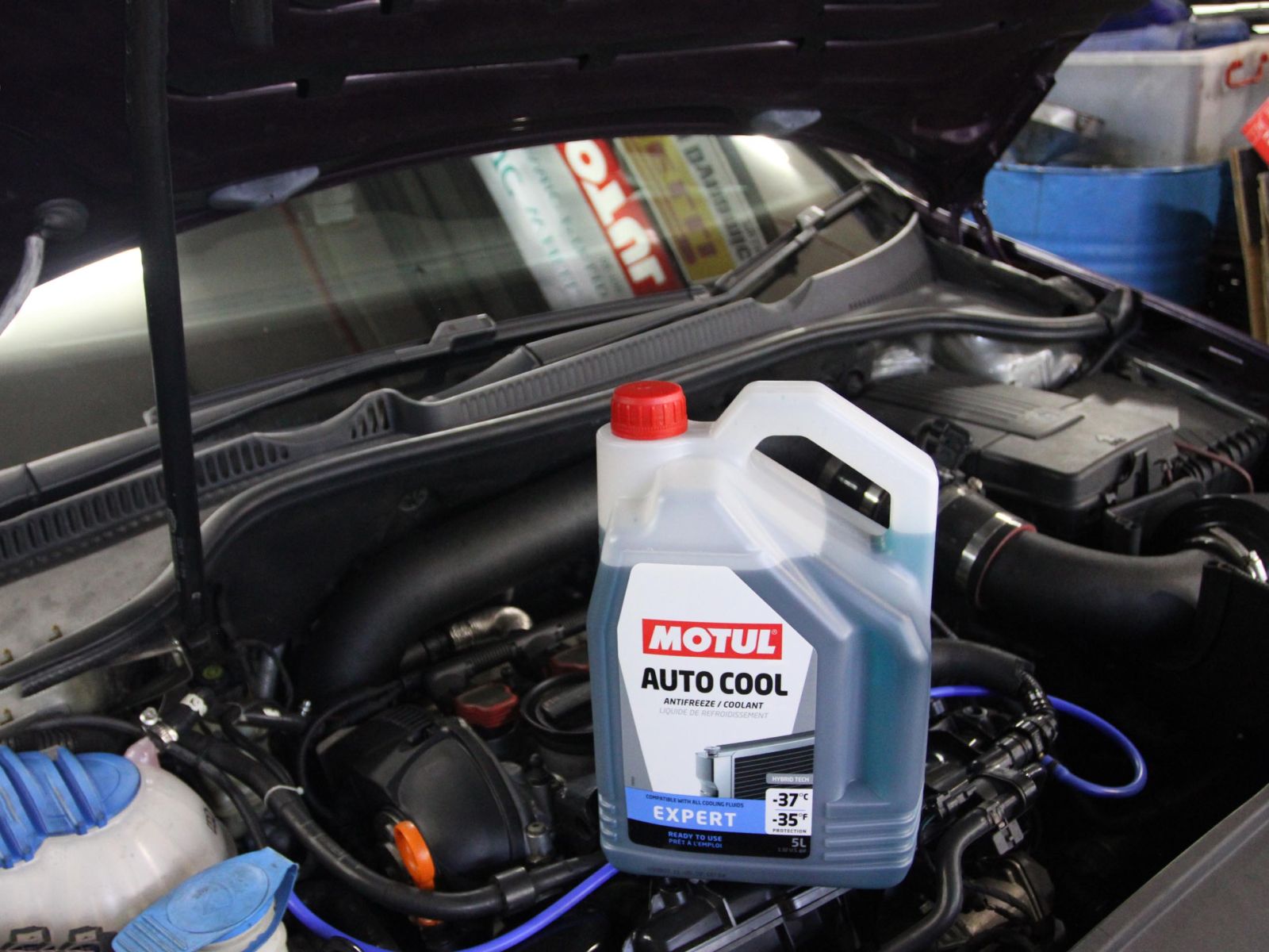 Motul Auto Cool Expert -37°C Coolant Fluid